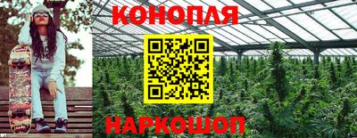 шишки Беслан