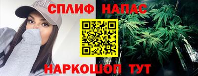 шишки Беслан