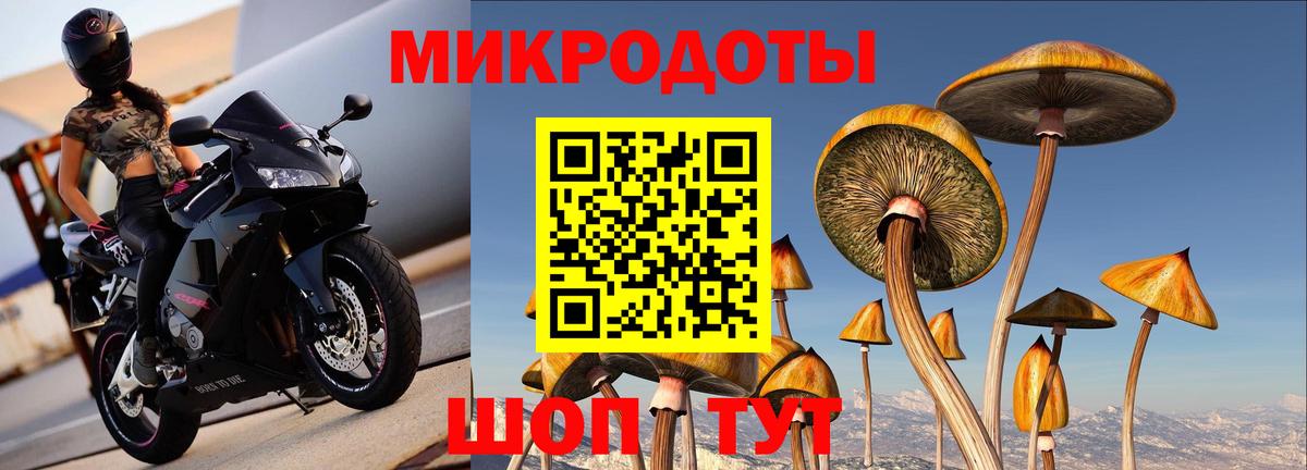 Знаменск  Галлюциногенные грибы мицелий  Вход с VPN 